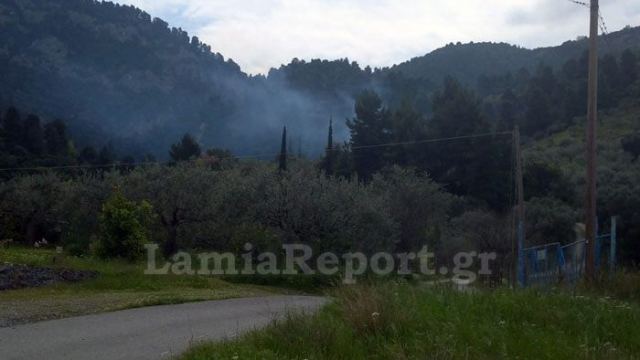 Πυρκαγιά σε δύσβατη περιοχή πάνω από τα Καμένα Βούρλα (ΦΩΤΟ)