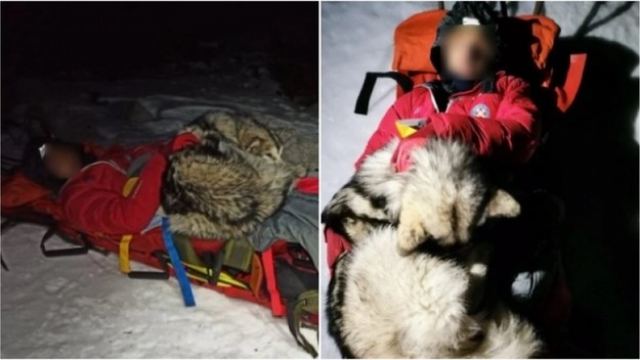 Σκύλος ζέσταινε με το σώμα του τραυματισμένο ορειβάτη για 13 ώρες