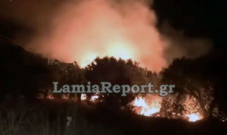 Φθιώτιδα: Πυρκαγιά κοντά στην εθνική οδό Αθηνών - Λαμίας (ΒΙΝΤΕΟ)