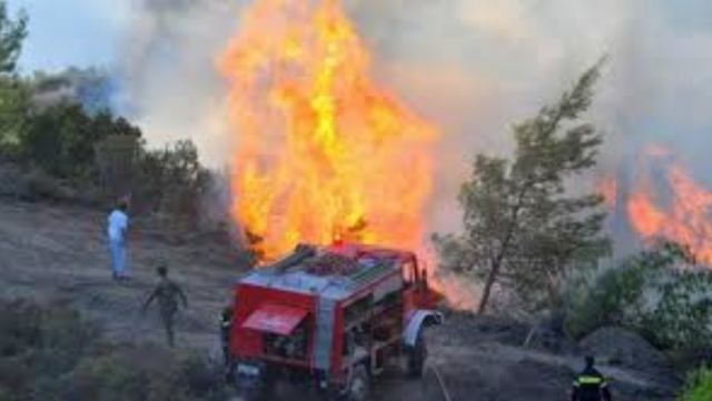 Πυρκαγιά από κεραυνό στον Παρνασσό - Εκκενώθηκαν δυο κατασκηνώσεις