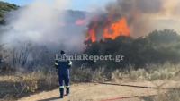 Πυρκαγιά στην Αλίαρτο - Σηκώθηκαν και εναέρια μέσα