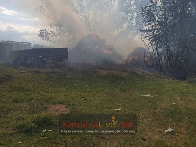 Πυρκαγιά σε κτηνοτροφική μονάδα - Κάηκαν ζωντανά δεκάδες πρόβατα (ΦΩΤΟ)