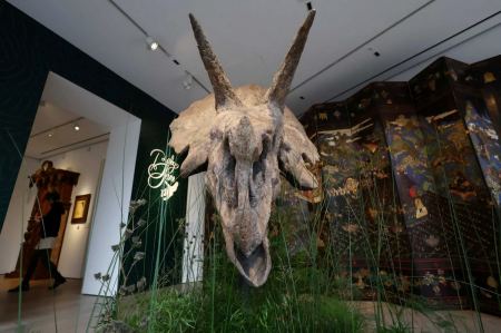 Γαλλία: Σε δημοπρασία το κρανίο Τρικεράτωπα που έζησε πριν από 68 εκατομμύρια χρόνια