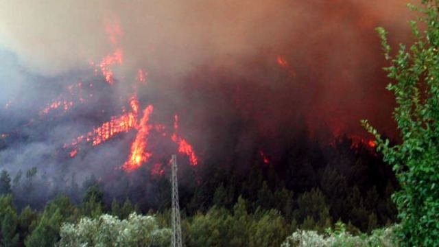 Ιταλία: Πάνω από 200.000 στρέμματα κάηκαν στη Σαρδηνία
