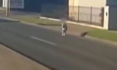 Ο οδηγός «ήρωας» για παιδί που περιφερόταν μόνο στη μέση του δρόμου – Βίντεο με την κίνηση που έκανε