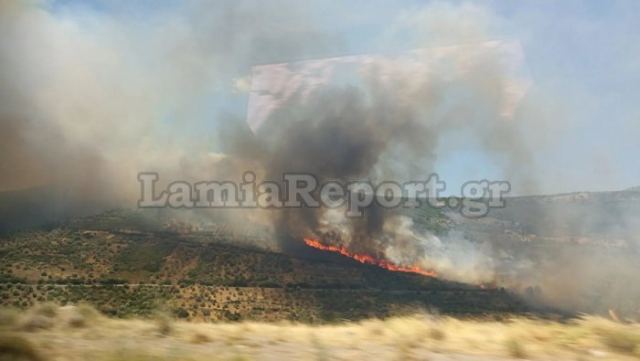Πυρκαγιά σε δασική έκταση στο Δίστομο (ΒΙΝΤΕΟ-ΦΩΤΟ)