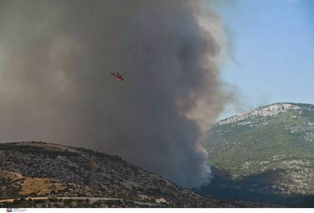 Φωτιά στην Πάρνηθα: Αγώνας να μην περάσει στον Εθνικό Δρυμό η πυρκαγιά - Στα σπίτια οι φλόγες