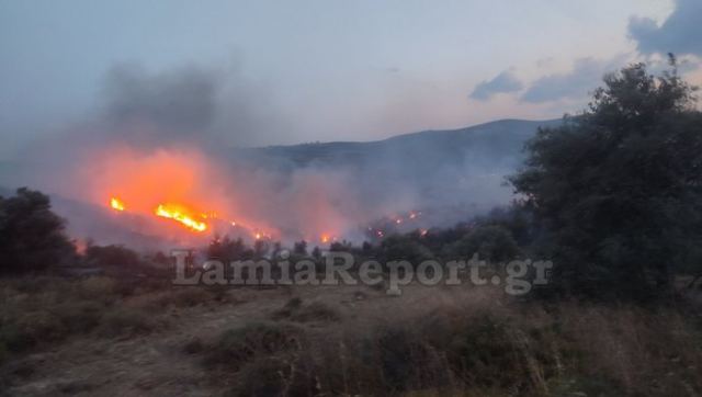 Ενισχύθηκαν οι επίγειες δυνάμεις στη μεγάλη πυρκαγιά στην Εύβοια (ΒΙΝΤΕΟ)