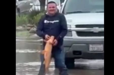 Kαλιφόρνια: Έπιασε μεγάλο ψάρι στη μέση του δρόμου - Απίστευτο σκηνικό μετά από πλημμύρα (ΒΙΝΤΕΟ)