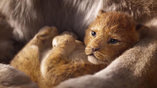 Το νέο, υπέροχο, trailer του Lion King μόλις κυκλοφόρησε