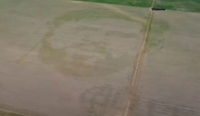 Αγρότης στην Αργεντινή δημιούργησε τη μορφή του Μέσι σε χωράφι με καλαμπόκι - Δείτε βίντεο