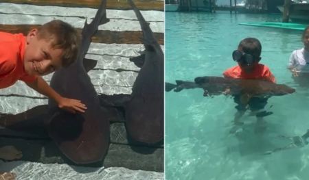 Τρόμος στις Μπαχάμες: 8χρονος δέχθηκε επίθεση από καρχαρίες