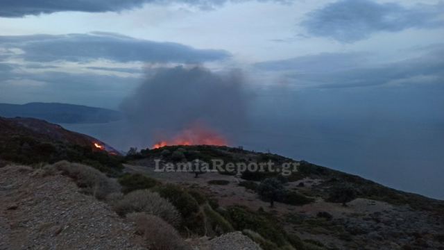 Μεγάλη πυρκαγιά σε δασική έκταση στην Κάρυστο (ΒΙΝΤΕΟ)