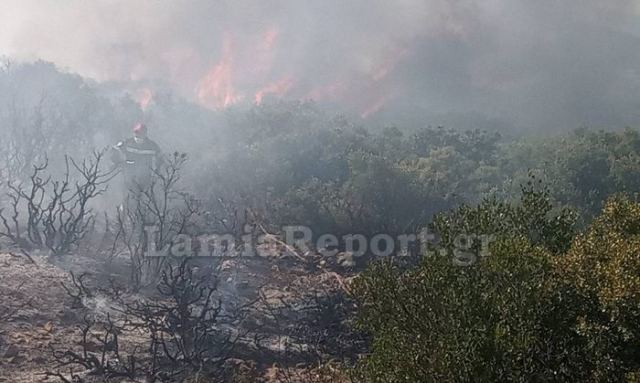 Φθιώτιδα: Ανεξέλεγκτη η πυρκαγιά στο Μαρτίνο (ΦΩΤΟ-ΒΙΝΤΕΟ)