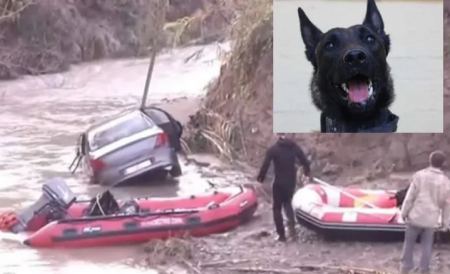 Ηλεία: Ο σκύλος που βρήκε τον Μπάμπη θα ψάξει για τον 45χρονο που παρασύρθηκε από τα ορμητικά νερά του χειμάρρου