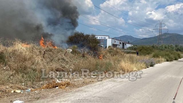 Επικίνδυνη πυρκαγιά στο δρόμο Λαμίας - Ροδίτσας (ΒΙΝΤΕΟ- ΦΩΤΟ)