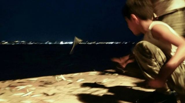Θεσσαλονίκη: Γιατί έκαναν &quot;σάλτο μορτάλε&quot; οι σαρδέλες στην προκυμαία [εικόνες]