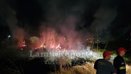 Πυρκαγιά μετά τα μεσάνυχτα στη νότια Λαμία (ΒΙΝΤΕΟ-ΦΩΤΟ)
