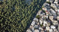 Φθιώτιδα: Έντυπη αποστολή αντιρρήσεων για διόρθωση σφαλμάτων του δασικού χάρτη