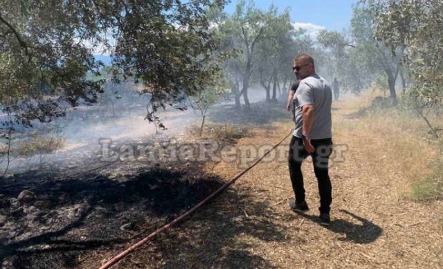 Συναγερμός για νέα πυρκαγιά σε ελαιοπερίβολα στο Αυλάκι Στυλίδας