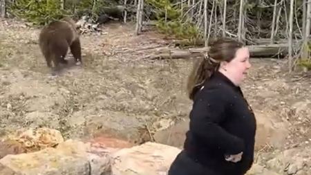 Viral η τουρίστρια που πλησίασε αρκούδα - Γιατί τη συνέλαβαν