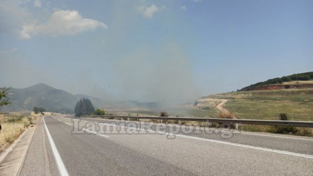 Λαμία: Πυρκαγιά στην Καμηλόβρυση δίπλα στο δρόμο (ΒΙΝΤΕΟ)