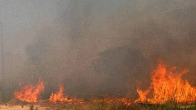 Φωτιά στο Αλιβέρι: Αντιμέτωπη με δύο μέτωπα η Πυροσβεστική