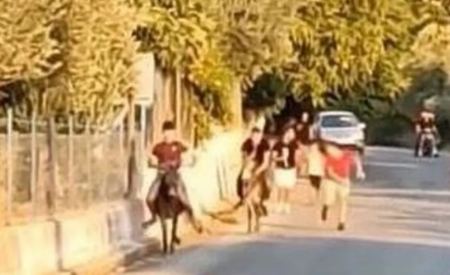 Καταγγελία για «γαϊδουροδρομίες» με ανήλικους στη Λέσβο - Δείτε βίντεο