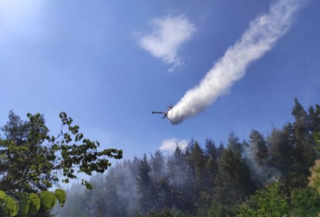 Πυρκαγιά στο Μάζι - Οριοθετήθηκε γρήγορα από τις πυροσβεστικές δυνάμεις της Στερεάς