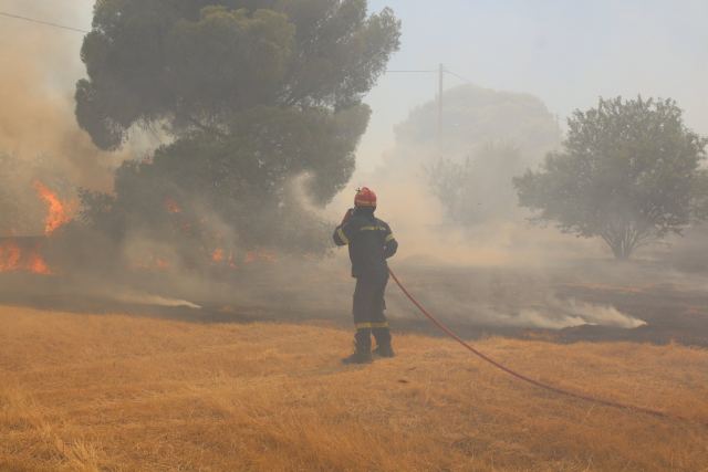 Σε εξέλιξη η μεγάλη πυρκαγιά στο Δίστομο (ΦΩΤΟ)
