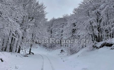 Απρίλης με χιόνι στη Σαράνταινα και το δάσος της Οξυάς (ΒΙΝΤΕΟ)