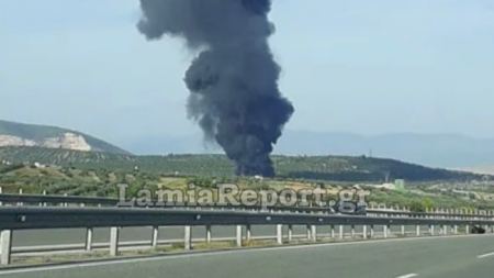 Πυρκαγιά σε εργοστάσιο στο Βαθύ Αυλίδας (ΦΩΤΟ)
