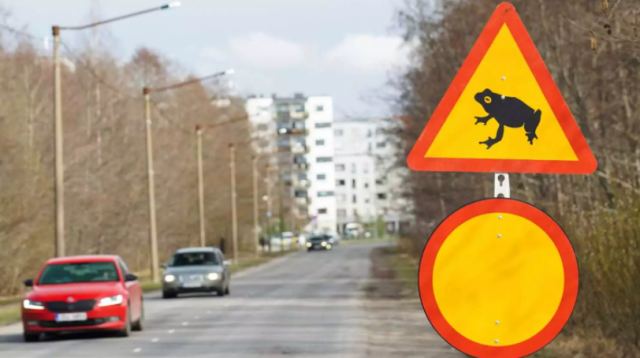 Εσθονία: Κλείνει δρόμος τα βράδια για να περνούν οι βάτραχοι στην άλλη πλευρά και να ζευγαρώσουν (pics,vid)