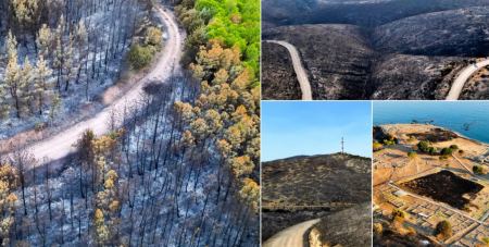 Έβρος: Αποκαρδιωτικές εικόνες από τις καμένες εκτάσεις που άφησε πίσω η φωτιά