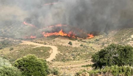 Φωτιά στην Κάρυστο: Εκκενώνονται τέσσερις οικισμοί - Το μήνυμα από το 112