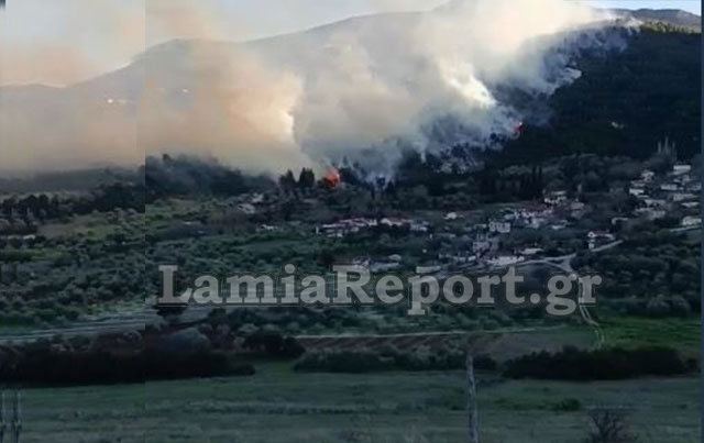 Μεγάλη πυρκαγιά στη Μενδενίτσα - Ζητήθηκε η συνδρομή από αέρος (ΒΙΝΤΕΟ)