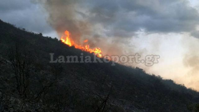 Πυρκαγιά από κεραυνό στο Δήμο Διρφύων - Μεσσαπίων