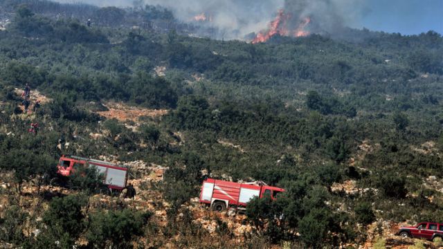 Πυρκαγιά σε αγροτοδασική έκταση στην Πελασγία