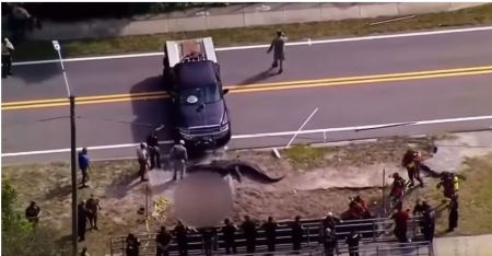 ΗΠΑ: Τεράστιος αλιγάτορας στη Φλόριντα κυκλοφορούσε με μια σορό στα σαγόνια του - Δείτε βίντεο