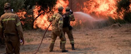 Μεγάλη αναζωπύρωση στην Ηλεία- Μάχη, ώστε να μη φθάσει η φωτιά στο χωριό Νεμούτα [βίντεο]