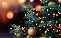 Χριστουγεννιάτικες εκδηλώσεις στην Πελασγία