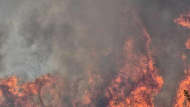 Σε εξέλιξη η φωτιά στην Αργολίδα - 49 δασικές πυρκαγιές σε 24 ώρες σε όλη την Ελλάδα