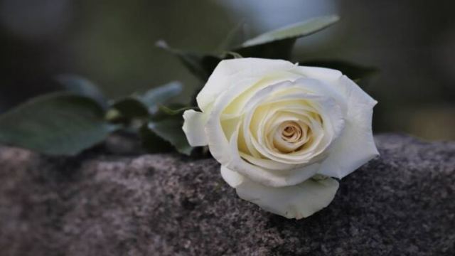 Σήμερα η κηδεία του 24χρονου Στάθη - Συγκλονισμένη όλη η Λαμία