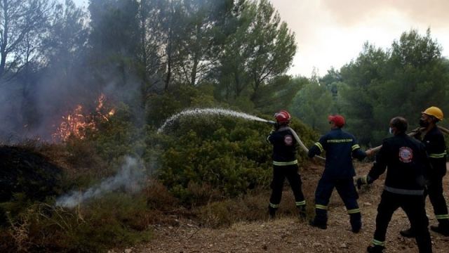 Ισχυρές επίγειες δυνάμεις της Πυροσβεστικής επιχειρούν σε Γορτυνία και δήμο Αρχαίας Ολυμπίας