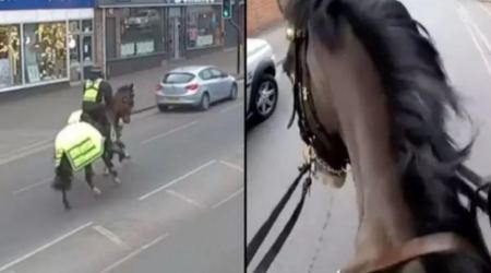 Απίστευτη καταδίωξη: Αστυνομικοί με άλογα κυνηγούσαν οδηγό επειδή μιλούσε στο τηλέφωνό του (BINTEO)