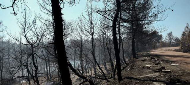 Εύβοια: Δορυφορική καταγραφή των ζημιών από τη φωτιά ζήτησε η ΓΓΠΠ