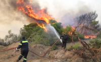 Συναγερμός για μεγάλη πυρκαγιά στη Συκά Υπάτης (ΦΩΤΟ)