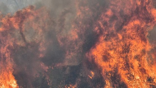Φινλανδία: Οι χειρότερες δασικές πυρκαγιές των τελευταίων 50 ετών