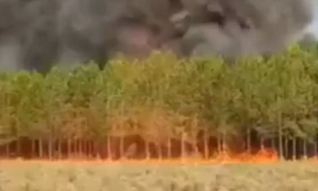 Αργεντινή: Πυρκαγιές έκαναν στάχτη 7 εκατ. στρέμματα - Τουλάχιστον 6 γιγαντιαία ενεργά μέτωπα