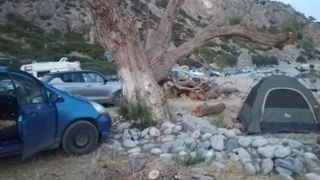 Μαγαζάτορες στην Κρήτη έκοψαν δέντρα για να μην πηγαίνουν κατασκηνωτές